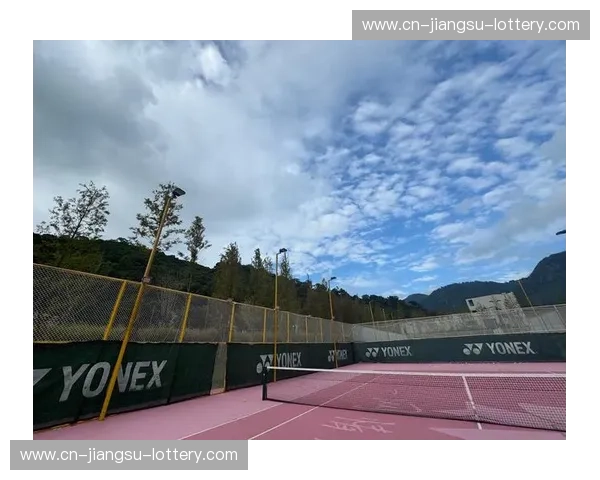 网球图集：挥拍之间的视觉盛宴